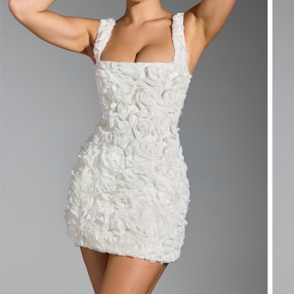 Posy- Floral-Appliqu Corset Mini Dress